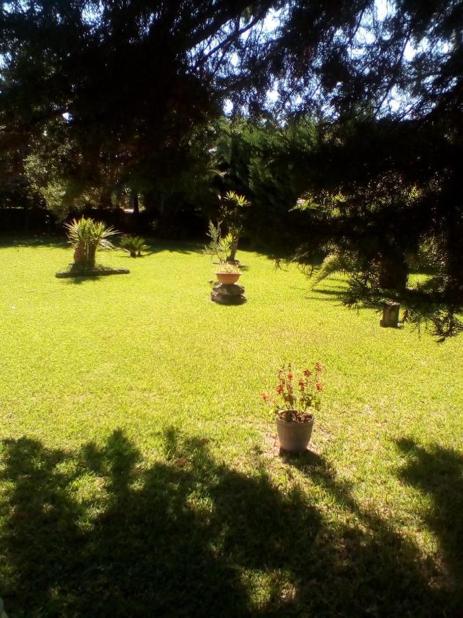 Mamena Bed and Breakfast Πέστουμ Εξωτερικό φωτογραφία