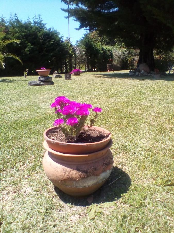 Mamena Bed and Breakfast Πέστουμ Εξωτερικό φωτογραφία