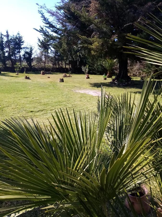 Mamena Bed and Breakfast Πέστουμ Εξωτερικό φωτογραφία