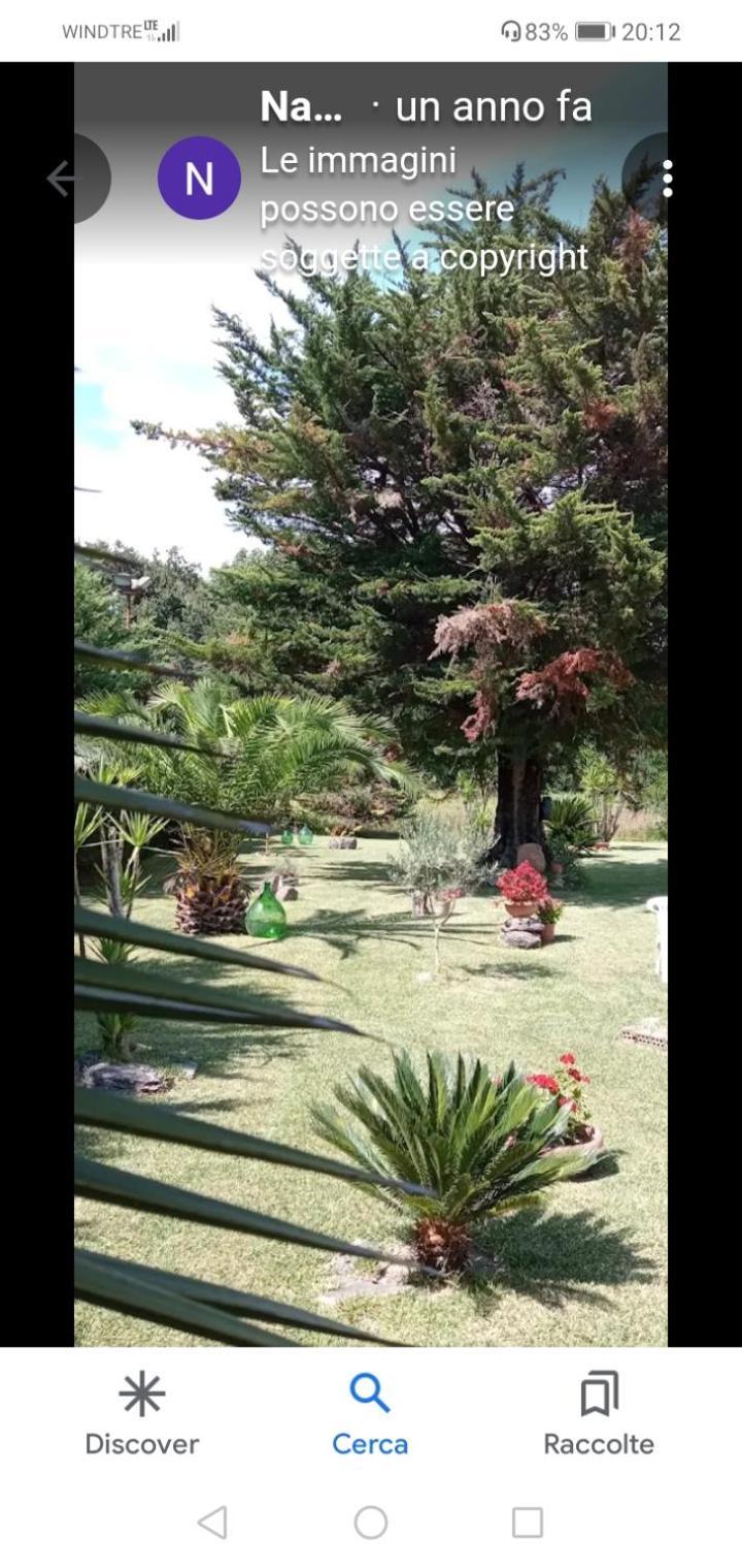 Mamena Bed and Breakfast Πέστουμ Εξωτερικό φωτογραφία
