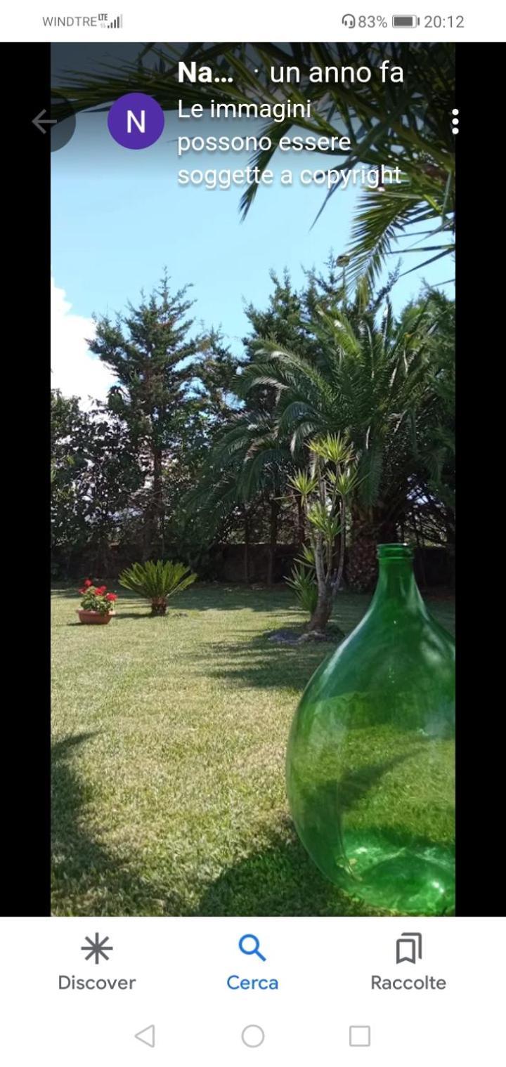 Mamena Bed and Breakfast Πέστουμ Εξωτερικό φωτογραφία