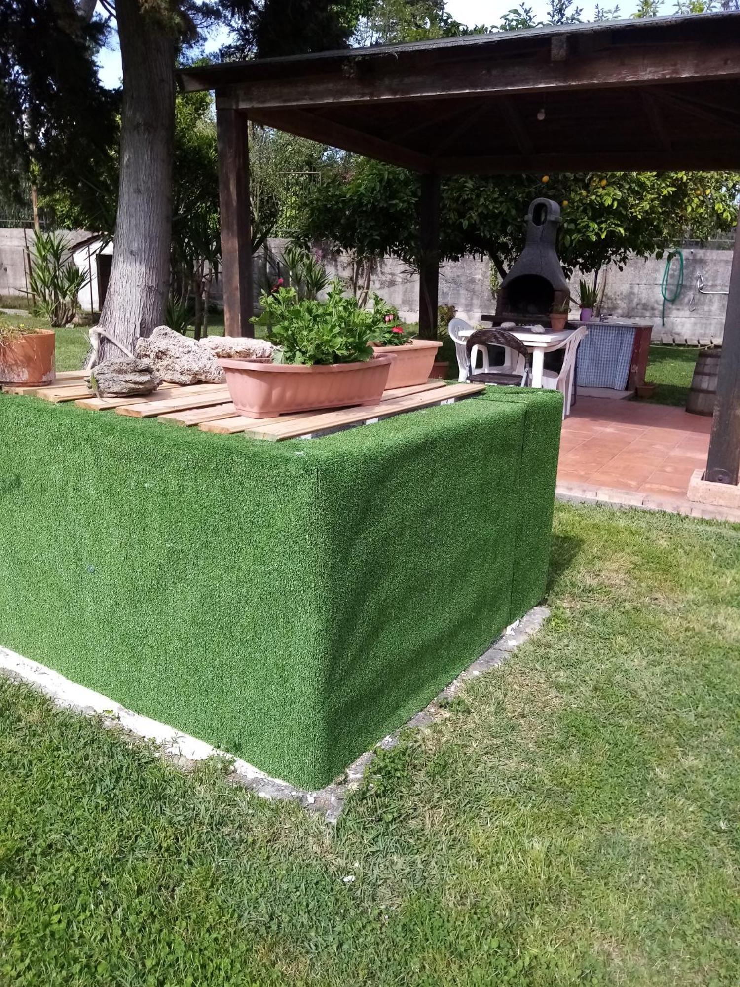 Mamena Bed and Breakfast Πέστουμ Εξωτερικό φωτογραφία
