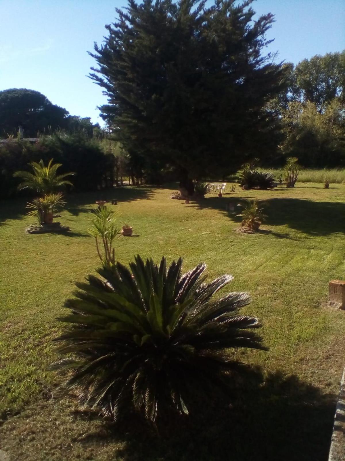 Mamena Bed and Breakfast Πέστουμ Εξωτερικό φωτογραφία